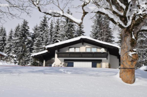 Landhaus Blaubeerhügel, Ramsau Am Dachstein, Österreich